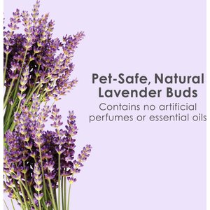 Kaytee Clean & Cozy Scented Small Animal Bedding, Lavender, 49.2-L
