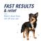 Show in main carousel: PetArmor CapAction Oral Flea Treatment for Dogs 2-25lbs 6 doses slide 4 of 9