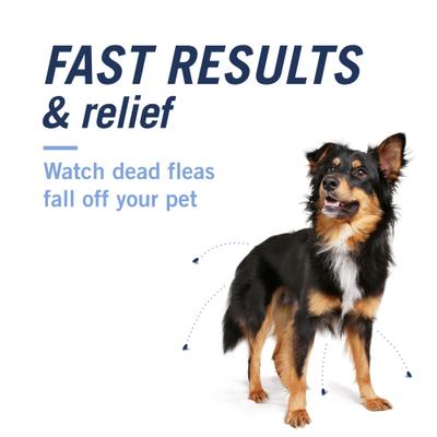Show full view: PetArmor CapAction Oral Flea Treatment for Dogs 2-25lbs 6 doses slide 4 of 9