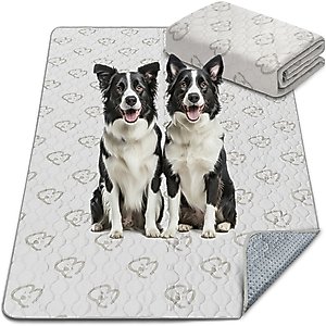 FXW Washable Dog Pee Pads, Rectangle: 47 x 29-in, 1 count