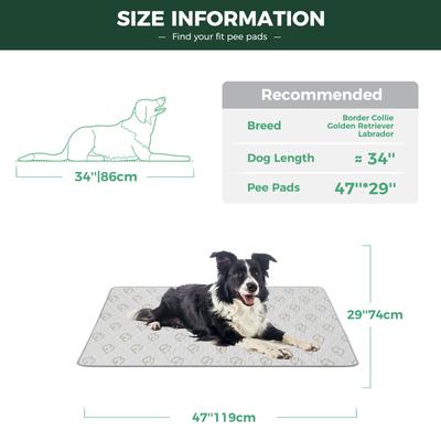 Show full view: FXW Washable Dog Pee Pads, Rectangle: 47 x 29-in, 1 count slide 2 of 9