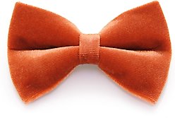 Made By Cleo Velvet Roasted Pumpkin Cat Bow Tie