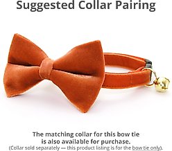Made By Cleo Velvet Roasted Pumpkin Cat Bow Tie slide 2 of 2