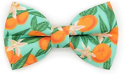 Made By Cleo Clementine Blossom Cat Bow Tie