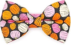 Made By Cleo Pumpkin Toss Cat Bow Tie