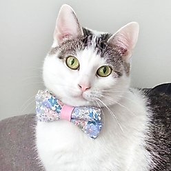 Made By Cleo Willow Cat Bow Tie slide 2 of 5