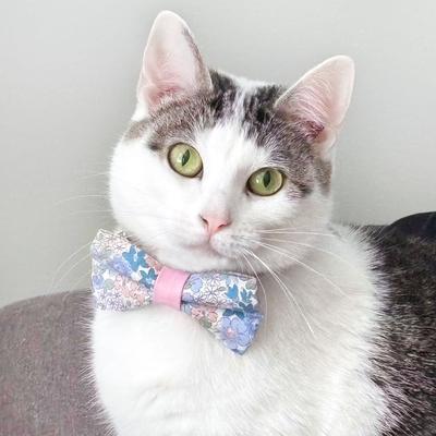 Show full view: Made By Cleo Willow Cat Collar slide 3 of 6