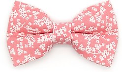Made By Cleo Sakura Cat Bow Tie