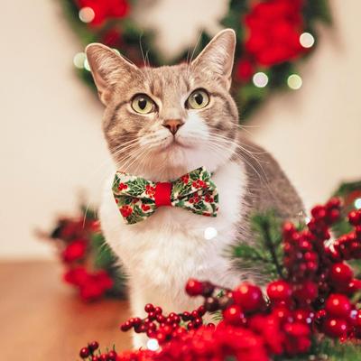 Show full view: Made By Cleo Holiday Holly Cat Bow Tie slide 2 of 4