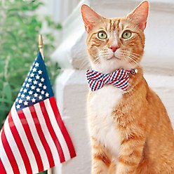 Made By Cleo Heritage Cat Bow Tie slide 2 of 3