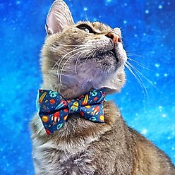 Made By Cleo Retro Rockets Cat Collar slide 2 of 4