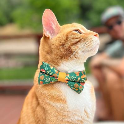 Show full view: Made By Cleo Forest Fantasy Cat Collar slide 6 of 7