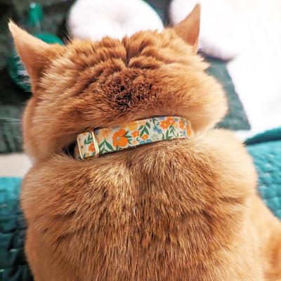 Show full view: Made By Cleo Aurora Cat Collar slide 3 of 4