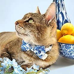 Made By Cleo Porcelain Paisley Cat Collar slide 2 of 4