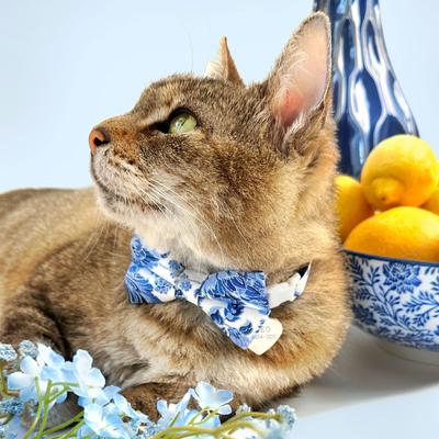 Show full view: Made By Cleo Porcelain Paisley Cat Collar slide 3 of 4