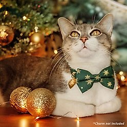 Made By Cleo Juniper Cat Collar slide 2 of 5