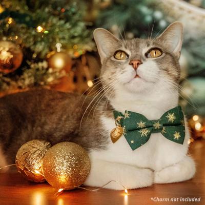 Show full view: Made By Cleo Juniper Cat Collar slide 4 of 5