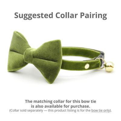 Show full view: Made By Cleo Velvet Leaf Green Cat Bow Tie slide 3 of 5