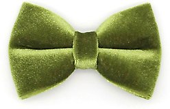 Made By Cleo Velvet Leaf Green Cat Bow Tie