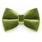Show in main carousel: Made By Cleo Velvet Leaf Green Cat Bow Tie slide 1 of 5