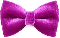Made By Cleo Velvet Orchid Purple Cat Bow Tie