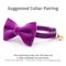 Show in main carousel: Made By Cleo Velvet Orchid Purple Cat Bow Tie slide 2 of 2