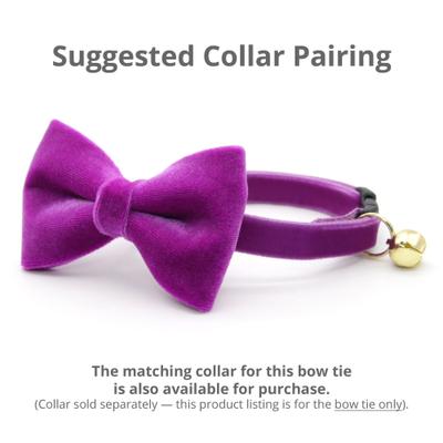 Show full view: Made By Cleo Velvet Orchid Purple Cat Bow Tie slide 2 of 2
