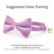 Show in main carousel: Made By Cleo Velvet Lavender Cat Bow Tie slide 3 of 3