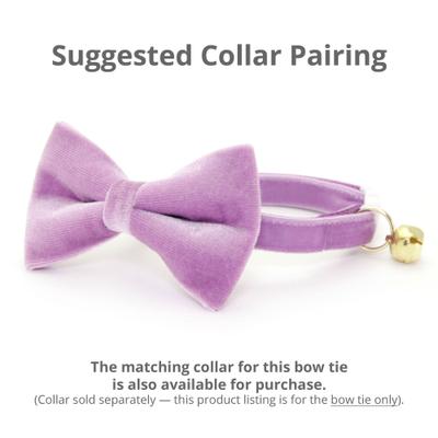 Show full view: Made By Cleo Velvet Lavender Cat Bow Tie slide 3 of 3
