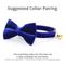 Show in main carousel: Made By Cleo Velvet Sapphire Blue Cat Bow Tie slide 3 of 3
