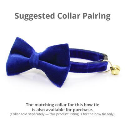 Show full view: Made By Cleo Velvet Sapphire Blue Cat Bow Tie slide 3 of 3