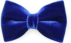 Made By Cleo Velvet Sapphire Blue Cat Bow Tie