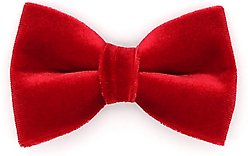 Made By Cleo Velvet Garnet Red Cat Bow Tie