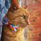 Show in main carousel: Made By Cleo Retro Rainbow Cat Collar slide 5 of 6