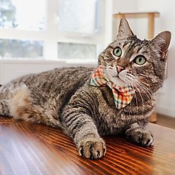 Made By Cleo Golden Hour Cat Collar slide 2 of 5