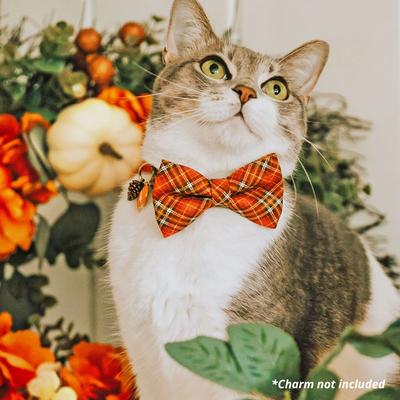 Show full view: Made By Cleo Pecan Praline Cat Collar slide 5 of 6