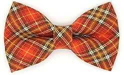 Made By Cleo Pecan Praline Cat Bow Tie