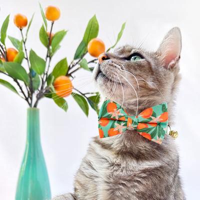 Show full view: Made By Cleo Clementine Blossom Cat Collar slide 4 of 6