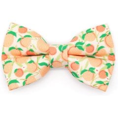 Made By Cleo Just Peachy Cat Bow Tie