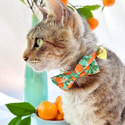 Show full view: Made By Cleo Clementine Blossom Cat Collar slide 3 of 6