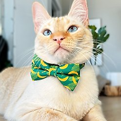 Made By Cleo Going Bananas Green Cat Collar slide 2 of 5