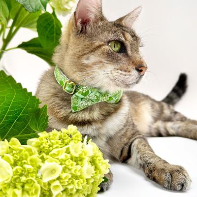 Show full view: Made By Cleo Hydrangea Hill Cat Collar slide 3 of 4