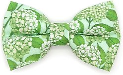 Made By Cleo Hydrangea Hill Cat Bow Tie