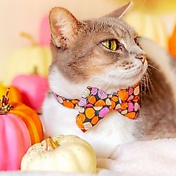 Made By Cleo Pumpkin Toss Cat Collar slide 2 of 4