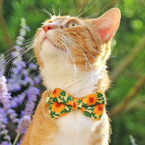 Show full view: Made By Cleo Sunflowers Cat Collar slide 3 of 5