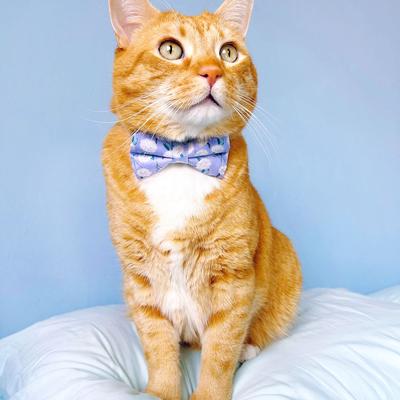 Show full view: Made By Cleo Periwinkle Peony Cat Collar slide 3 of 4