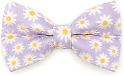Made By Cleo Daisies Purple Cat Bow Tie