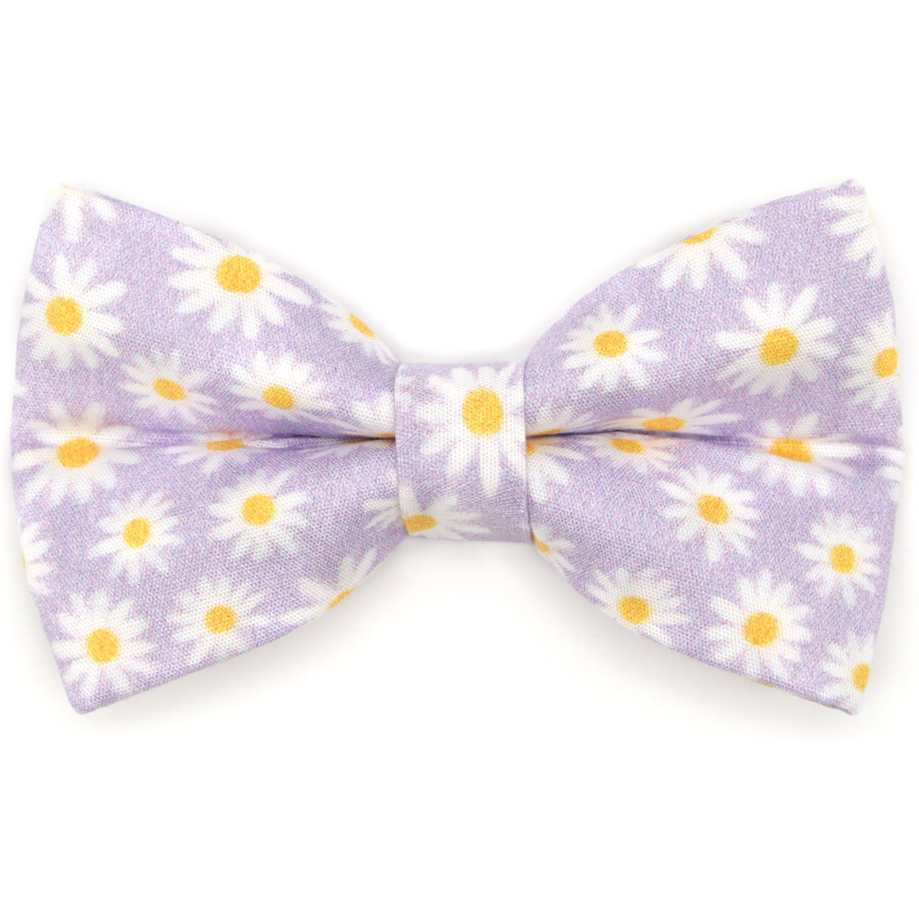 Made By Cleo Daisies Purple Cat Bow Tie