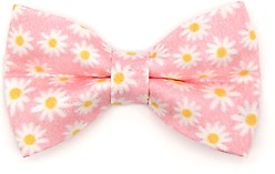 Made By Cleo Daisies Pink Cat Bow Tie