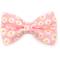 Show in main carousel: Made By Cleo Daisies Pink Cat Bow Tie slide 1 of 2